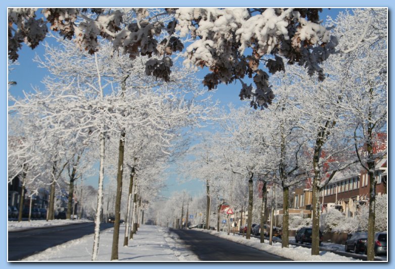 Arnhem Snow 174